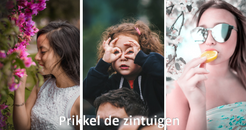 Prikkel de zintuigen